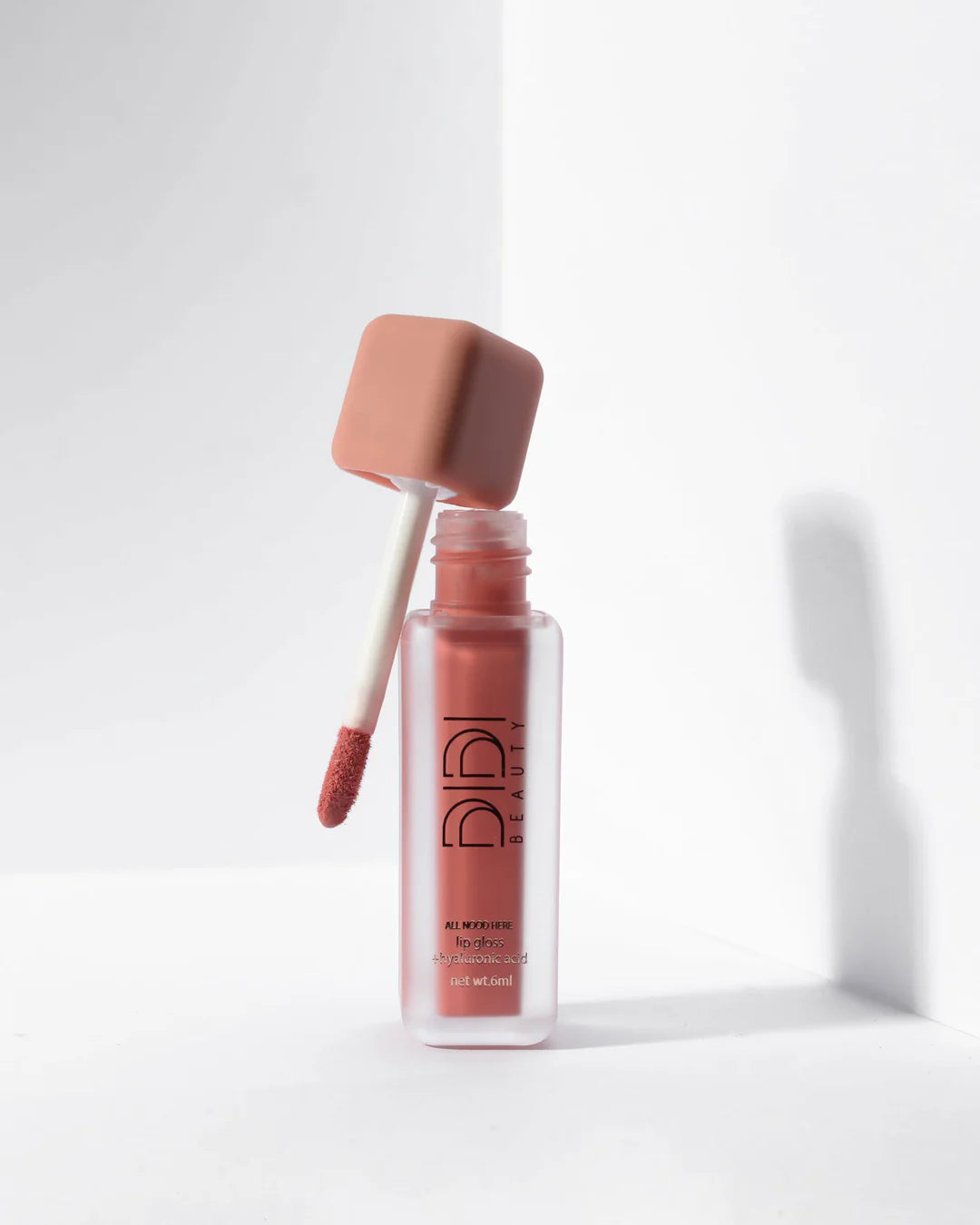Didi Beauty All Nood here lip gloss