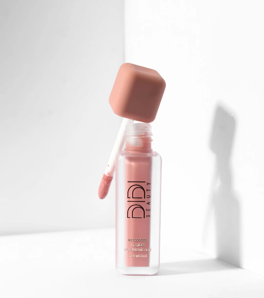Didi Beauty All Nood here lip gloss