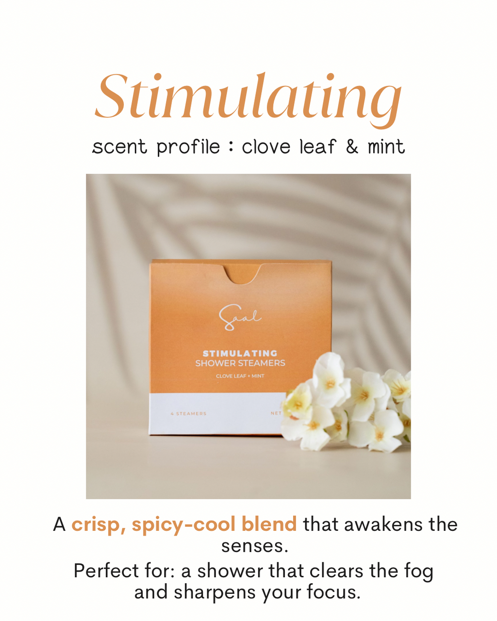 Body & Saal Aromatherapy Shower Steamers