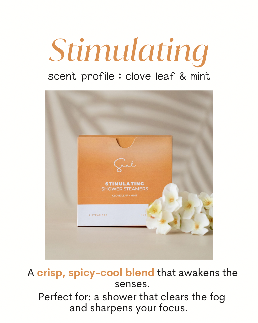 Body & Saal Aromatherapy Shower Steamers