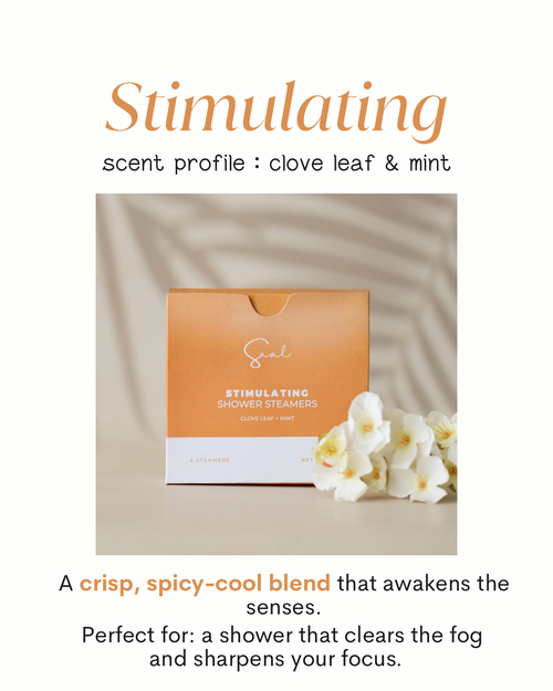 Body & Saal Aromatherapy Shower Steamers