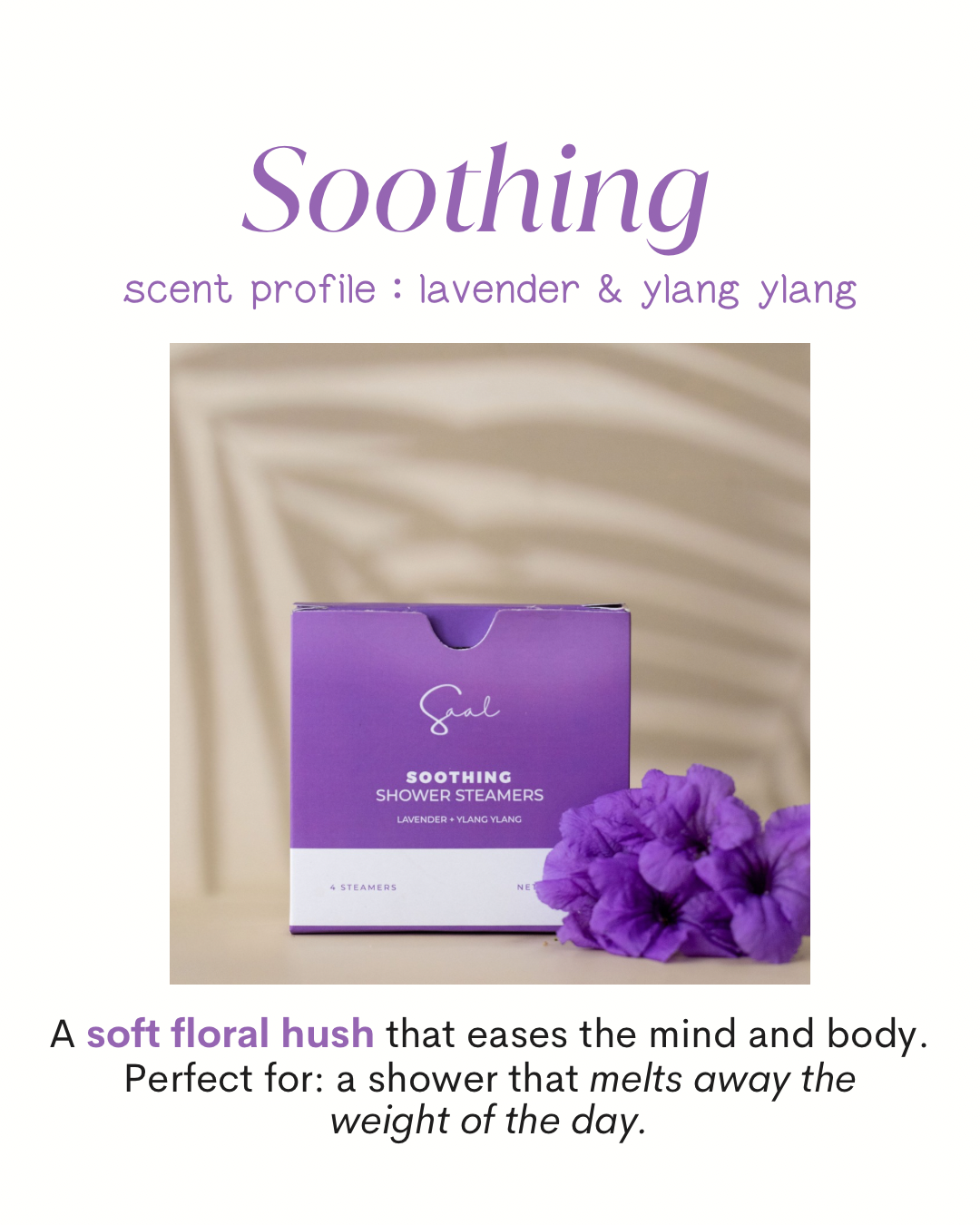 Body & Saal Aromatherapy Shower Steamers
