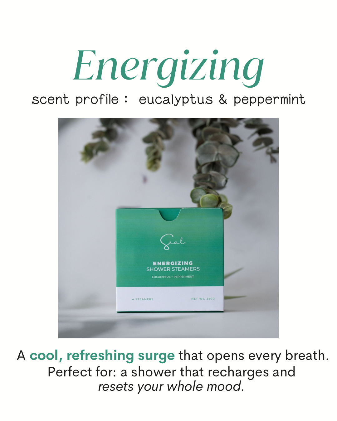 Body & Saal Aromatherapy Shower Steamers