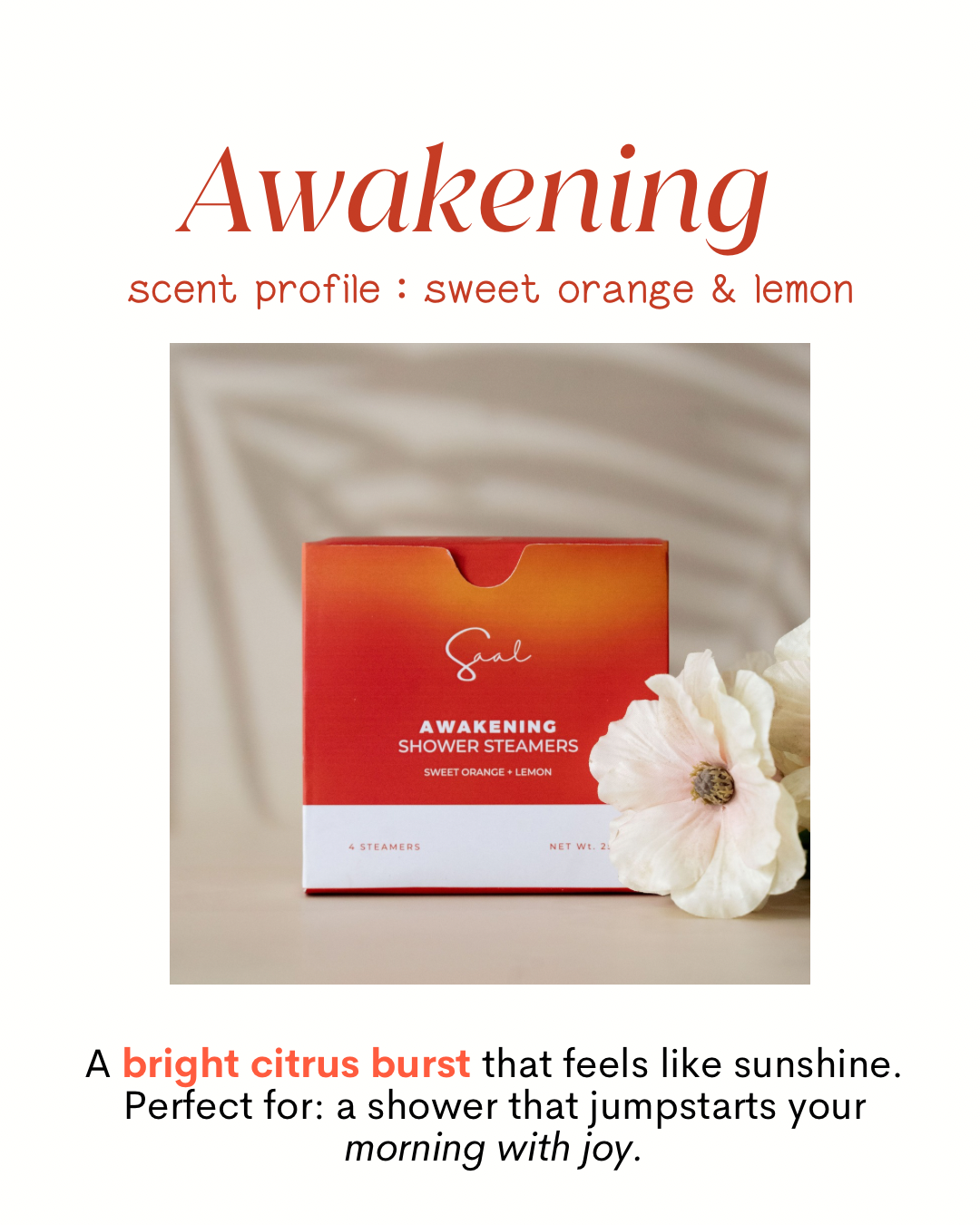 Body & Saal Aromatherapy Shower Steamers